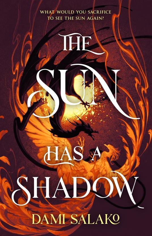 The Sun Has a Shadow - Dami Salako - ebook