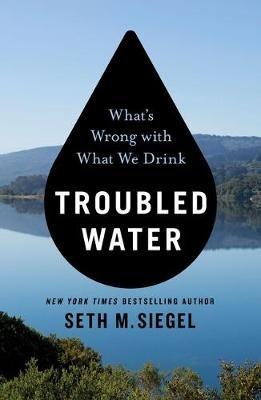 Troubled Water: What's Wrong with What We Drink - Seth M Siegel - cover