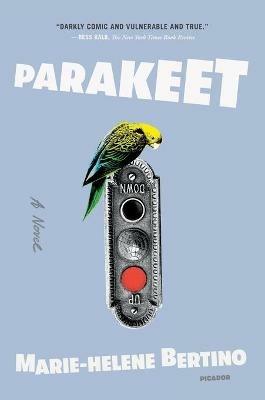 Parakeet - Marie-Helene Bertino - cover