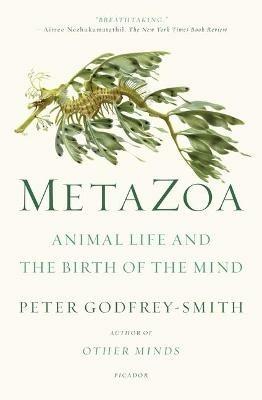 Metazoa: Animal Life and the Birth of the Mind - Peter Godfrey-Smith - cover