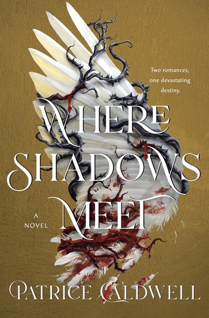 Where Shadows Meet - Patrice Caldwell - ebook
