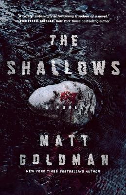 The Shallows: A Nils Shapiro Novel - Matt Goldman - cover