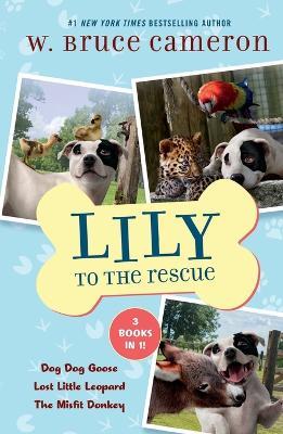 Lily to the Rescue Bind-Up Books 4-6: Dog Dog Goose, Lost Little Leopard, and the Misfit Donkey - W Bruce Cameron - cover
