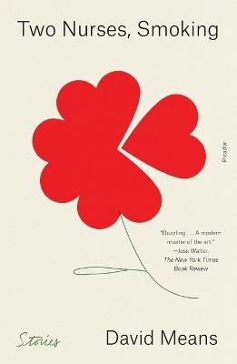 Two Nurses, Smoking: Stories - David Means - cover