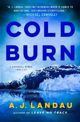 Cold Burn - A. J. Landau - cover