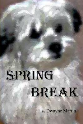 Spring Break - Dwayne Martin - cover