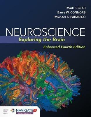 Neuroscience: Exploring The Brain, Enhanced Edition - Mark Bear,Barry Connors,Michael A. Paradiso - cover