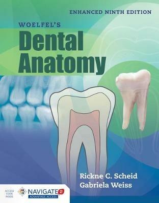 Woelfel's Dental Anatomy, Enhanced Edition - Rickne C. Scheid,Gabriela Weiss - cover