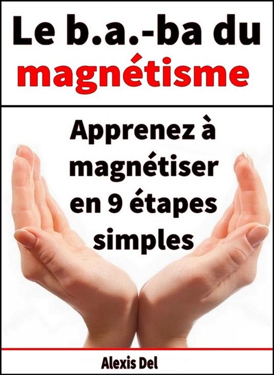 Le B . A.-BA du magnétisme