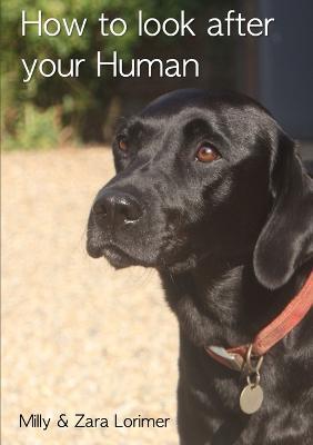 How to look after your Human - Milly & Zara Lorimer - cover