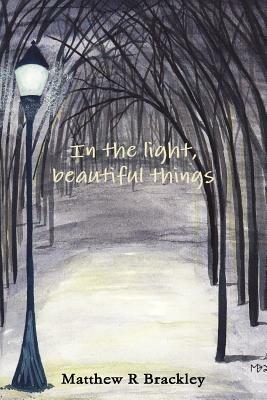 In the light,beautiful things - Matthew R Brackley - cover