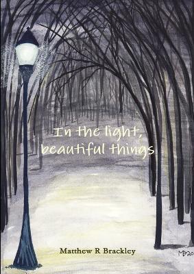 In the Light,Beautiful Things - Matthew R Brackley - cover