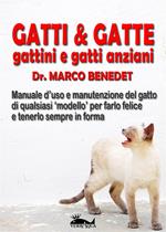 Gatti & gatte gattini e gatti anziani