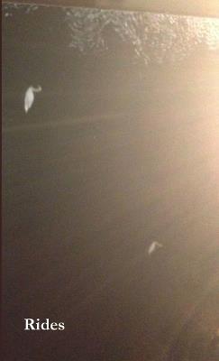 Rides - Marcus Slease - cover