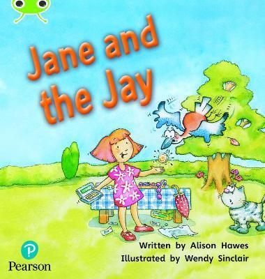Bug Club Phonics Fiction Year 1 Phase 5 Unit 14 Jane and the Jay - Alison Hawes - cover