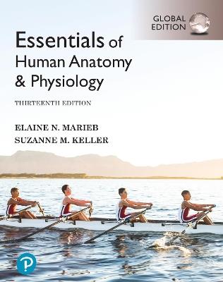 Essentials of Human Anatomy & Physiology, Global Edition - Elaine Marieb,Suzanne Keller - cover