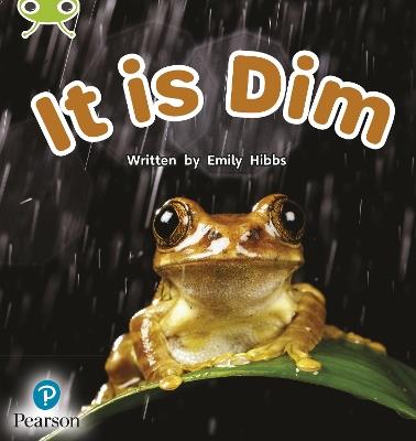 Bug Club Phonics - Phase 2 Unit 1-2: It is Dim - Emily Hibbs - cover