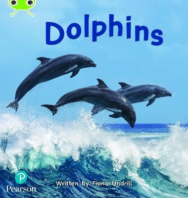 Bug Club Phonics - Phase 5 Unit 13: Dolphins - Fiona Undrill - cover