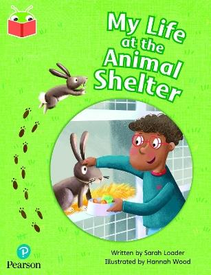 Bug Club Independent Phase 5 Unit 25: My Life at the Animal Shelter - cover