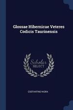 Glossae Hibernicae Veteres Codicis Taurinensis