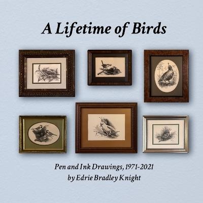A Lifetime of Birds: Pen and Ink Drawings, 1971-2021 - cover