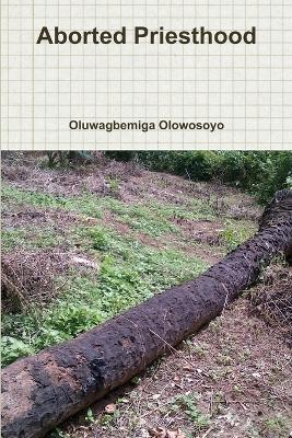 Aborted Priesthood - Oluwagbemiga Olowosoyo - cover