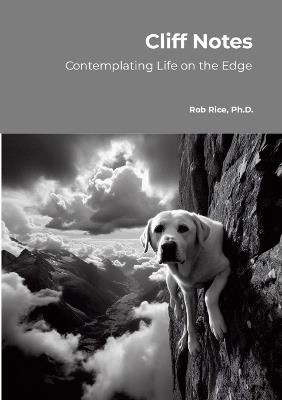 Cliff Notes: Considering Life's Meaning on the Edge - Robert Rice - cover