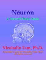 Neuron: A Tutorial Study Guide