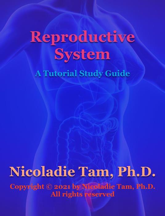 Reproductive System: A Tutorial Study Guide