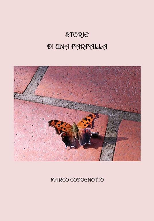 Storie di una farfalla - Marco Codognotto - ebook