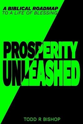 Prosperity Unleashed: A Biblical roadmap to a life of blessing - Todd Bishop - cover