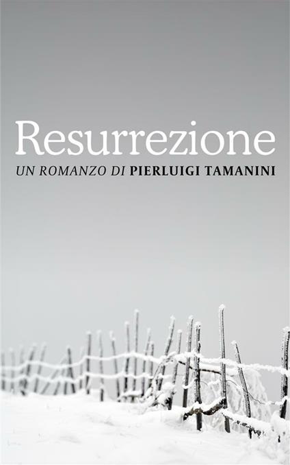 Resurrezione - Pierluigi Tamanini - ebook