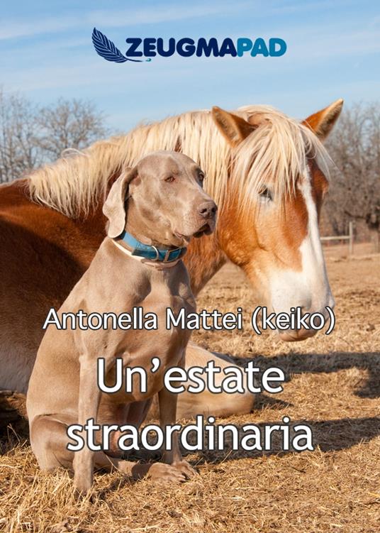 Un'estate straordinaria - Antonella Mattei - ebook