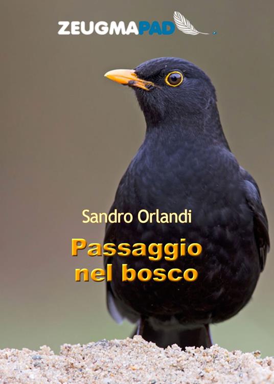Passaggio nel bosco - Sandro Orlandi - ebook