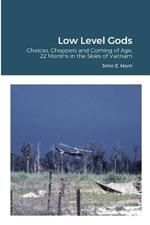 Low Level Gods: Choices, Choppers and Coming of Age, 22 Months in the Skies of Vietnam
