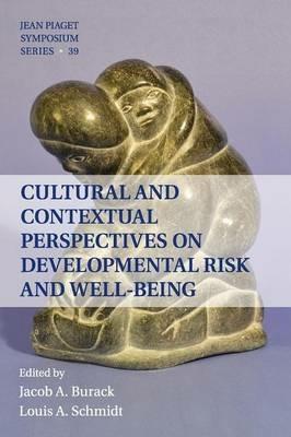 Cultural and Contextual Perspectives on Developmental Risk and Well-Being - cover