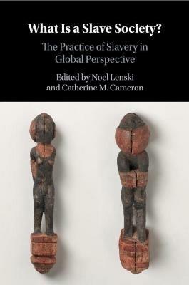 What Is a Slave Society?: The Practice of Slavery in Global Perspective - cover