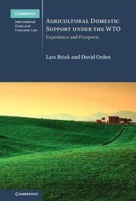 Agricultural Domestic Support Under the WTO: Experience and Prospects - Lars Brink,David Orden - cover