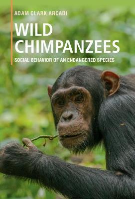 Wild Chimpanzees: Social Behavior of an Endangered Species - Adam Clark Arcadi - cover