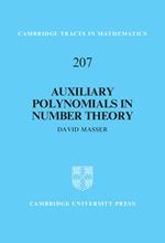 Auxiliary Polynomials in Number Theory
