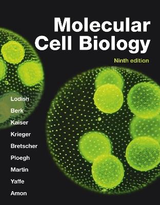 Molecular Cell Biology - Harvey Lodish,Arnold Berk,Chris Kaiser - cover