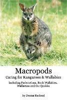 Macropods - Caring for Kangaroos and Wallabies: including Pademelons, Rock Wallabies, Wallaroos and the Quokka - Donna Racheal - cover