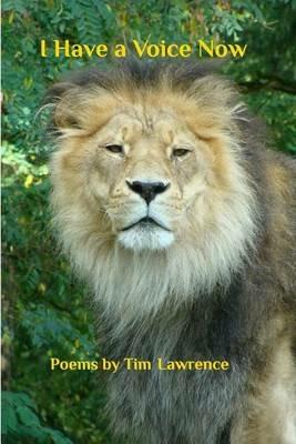 I Have a Voice Now - Tim Lawrence - cover
