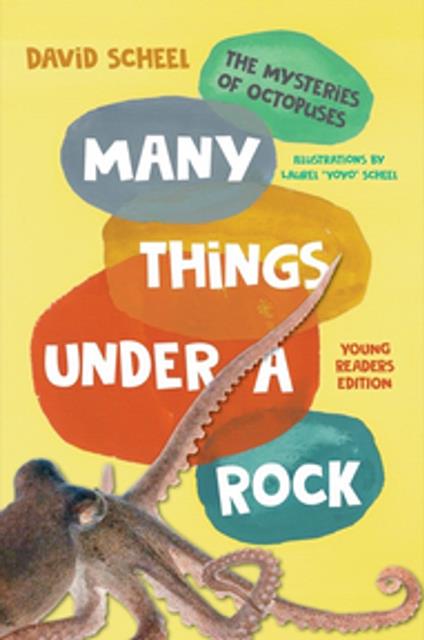 Many Things Under a Rock Young Readers Edition - David Scheel,Laurel "Yoyo" Scheel - ebook