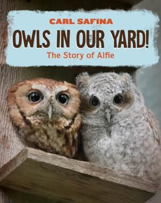 Owls in Our Yard!: The Story of Alfie - Carl Safina - cover