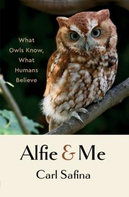 Alfie and Me: What Owls Know, What Humans Believe - Carl Safina - cover