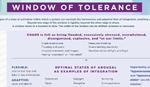 Window of Tolerance Laminated Card