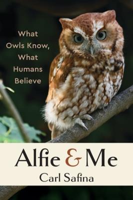 Alfie and Me: What Owls Know, What Humans Believe - Carl Safina - cover