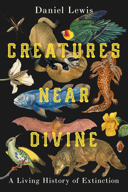 Creatures Near Divine