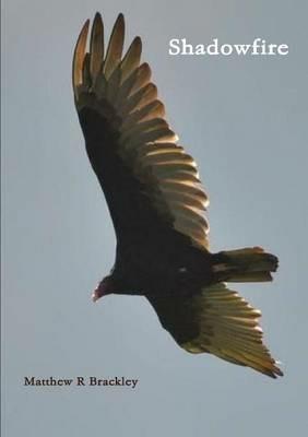 Shadowfire - Matthew R Brackley - cover